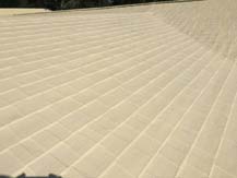 Shingle Roof Painting